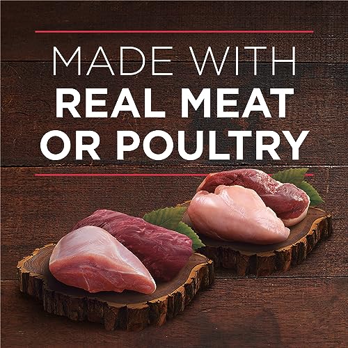 Purina ONE Classic Ground True Instinct Wet Dog Food, Variety Pack 2 Flavours - 368 g Can (6 Pack) - Image 5