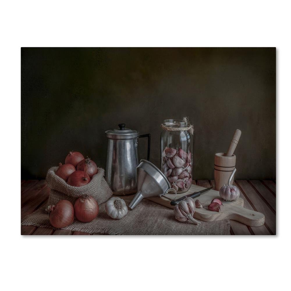 Trademark Fine Art Still Life Traditional Canvas Art, 14x19
