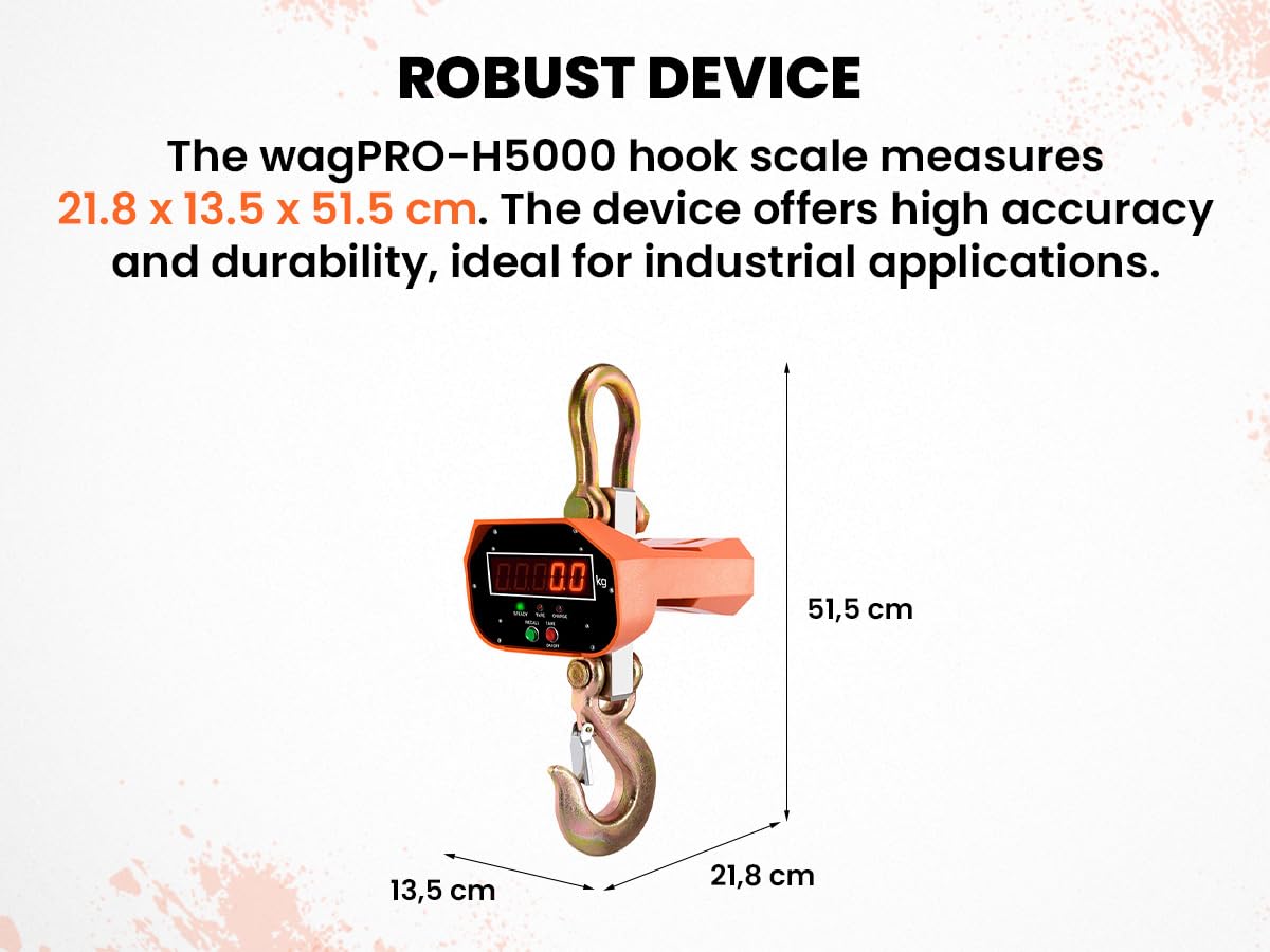 HDWR wagPRO-H5000 scale features overview