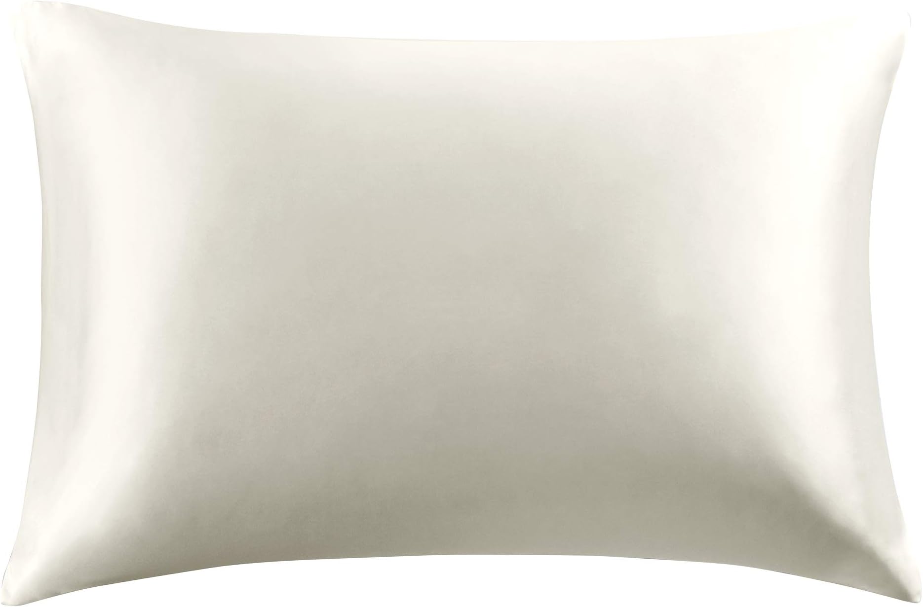 Hyde Lane 16 Momme 100% Pure Mulberry Silk Pillowcase for Hair and Skin with Hidden Zipper, Both Side Grade 6A silk, Luxury Smooth and Soft,Real Silk Pillow Case, 1pc Queen 20''x30'',Ivory White