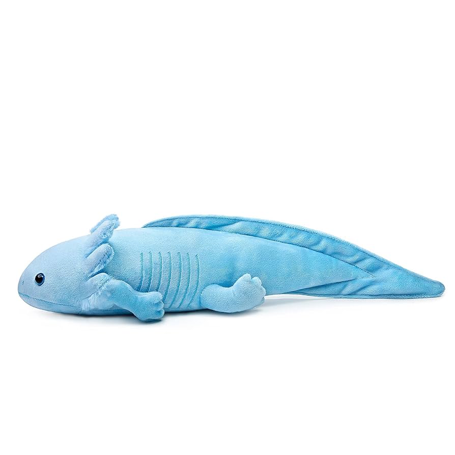 中国限定　アーボぬいぐるみ Amazon.co.jp: ZHONGXIN MADE 大型アホロートルぬいぐるみ - 超