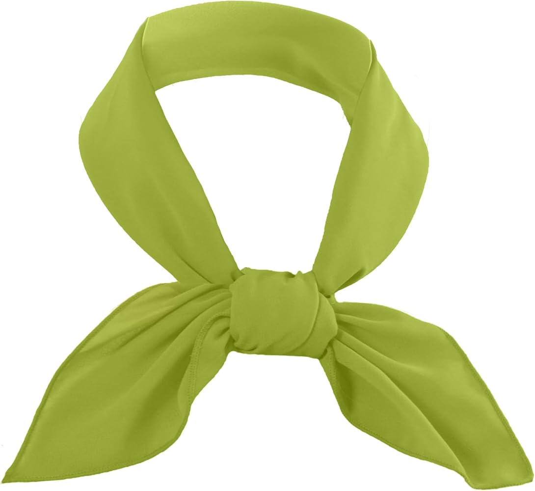 Amazon.com: Daphne Costume Women's Chiffon Ribbon Neck