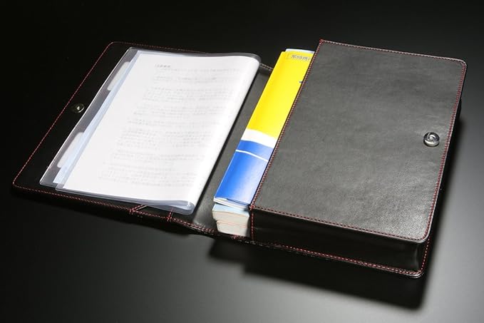 おしゃれ人気 Monster Sport 車検証ケース カーボン調レザー レッドステッチ Zzzs12 ポイント10倍 Www Centrodeladultomayor Com Uy