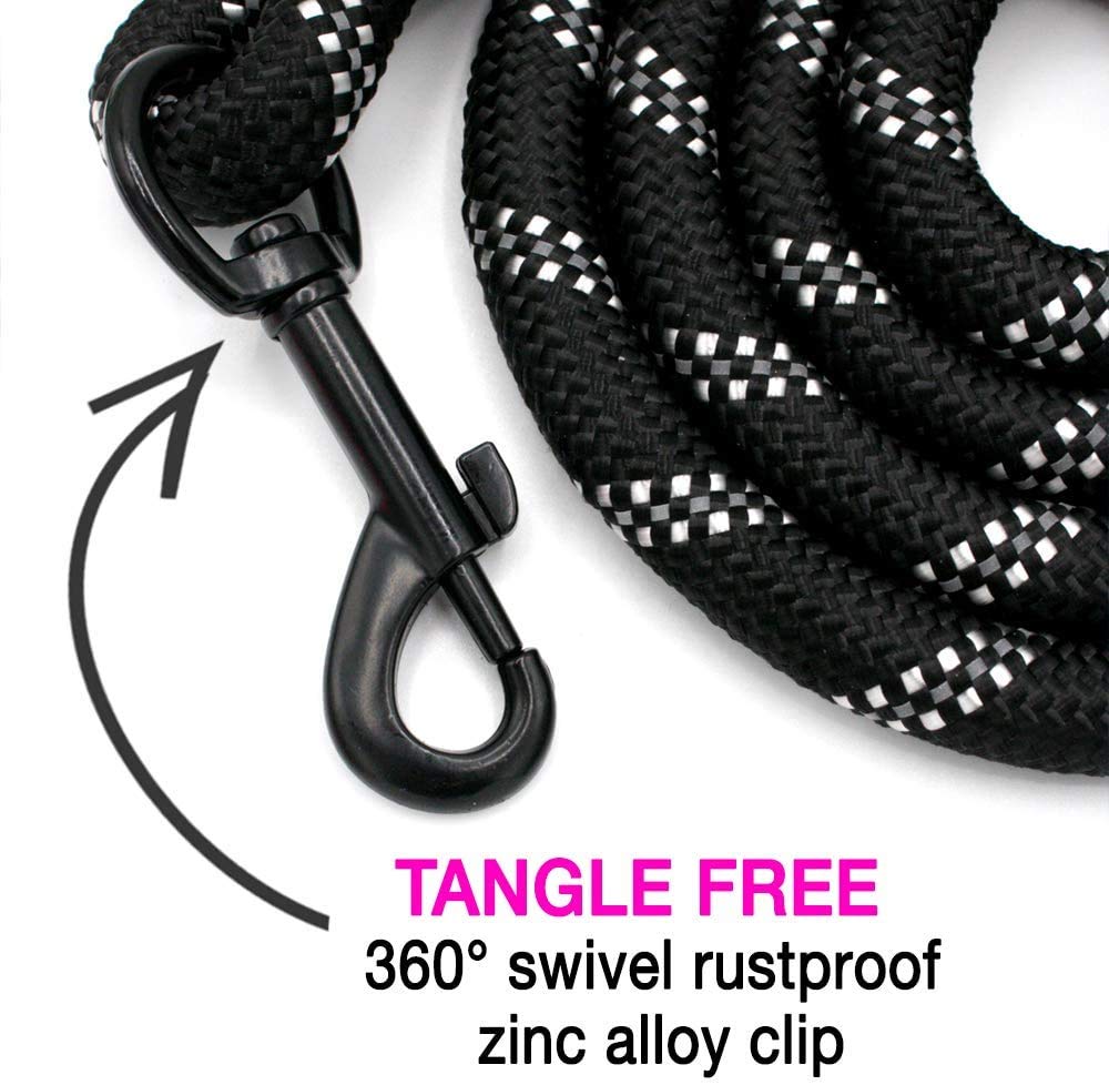 Nylon-Hundeleine 1,8 M – 2,5 Cm Breit, Schwarz, Für Mittelgroße & Große Hunde