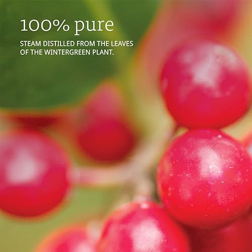 Miniatura 3 de NOW Wintergreen, 1 onza (paquete de 2)