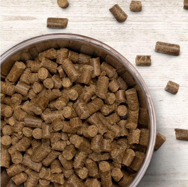 Wildborn Prime Chicken 1 x 12 kg | kaltgepresstes Hundetrockenfutter mit Huhn | mit 82% tierischem Protein | getreidefreies Futter Made in Germany