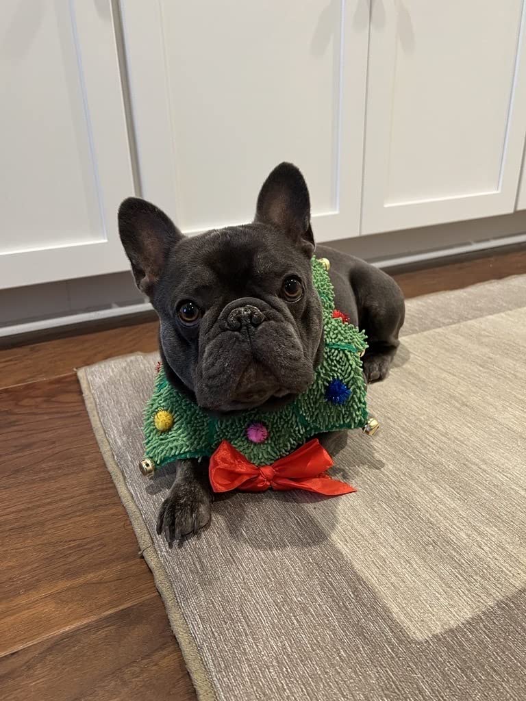 Small Dog Grinch Pajamas Christmas Wreath Neck Scrunchie Dog Costume small-dog-grinch-pajamas-christmas-wreath-neck-scrunchie-dog-costume