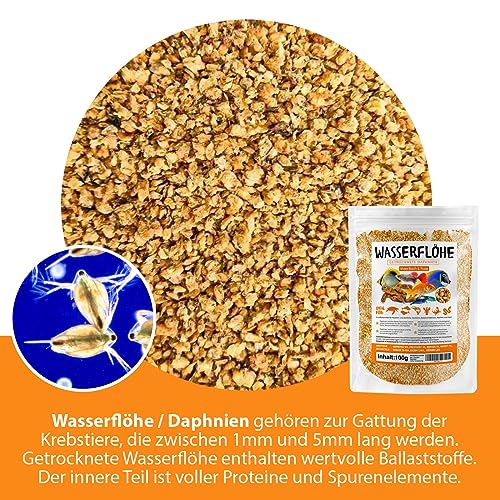 Wasserflöhe getrocknet 625ml (entspricht 100g), Zierfischfutter Aquarium, Daphnien, Fischfutter Aquarium, Zierfutter für Fische – Bild 5