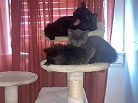 Review Image by Emily Powell Emily Powell