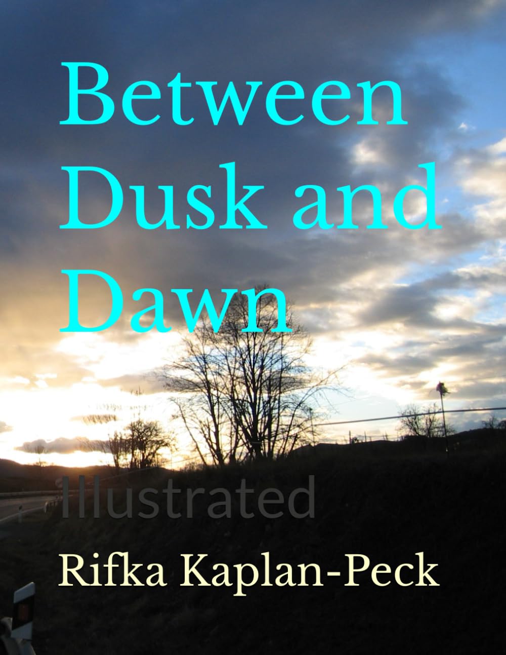 Between Dusk and Dawn: Illustrated