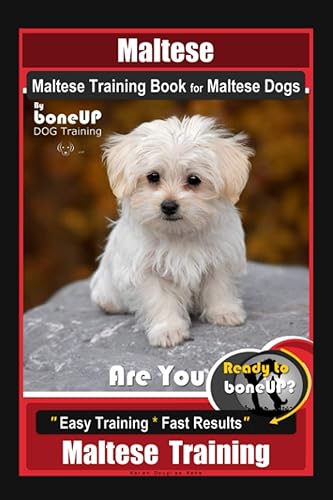 Maltese, Maltese Training Book for Maltese Dogs By BoneUP DOG Training, Are You Ready to Bone Up Easy Training * Fast Results, Maltese Training