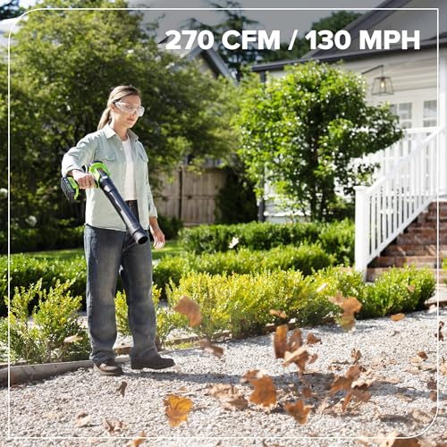 Greenworks 24V Handheld Leaf Blower, 270 CFM, Tool Only - image 5