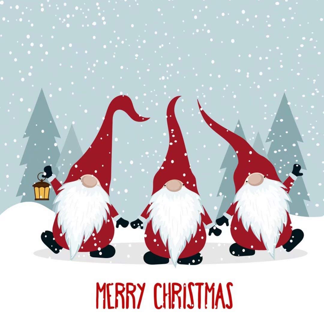 Aluy's boutique Scandinavian Christmas Gnome Soft Bedding Duvet Cover Set, Twin Size 2 Pieces with 1 Duvet Cover and 1 Pillowcase, Best Gift for Kids, Boys, Girls