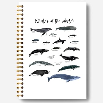 Whale Notebook - Ocean Notebook, Ocean Journal, Whale Gifts, Whale Gifts for Women, Marine Biology Gifts, Whales of the World Spiral Notebook 5.5x8.3 Inch
