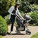 Evenflo Vive Travel System with Embrace Infant Car Seat, Spearmint Spree