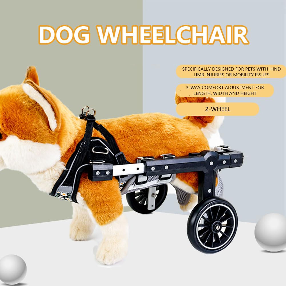 Silla de ruedas para perro, pierna trasera ajustable, ayuda a la movilidad para mascotas, soporte ligero para displasia de cadera y artritis, ideal para perros mayores