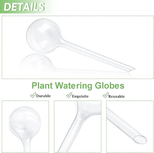 Miniatura 3 de Pynqdfu 8 globos transparentes de riego de plantas, bola de plástico de riego automático, dispositivo de agua de jardín para plantas interiores y