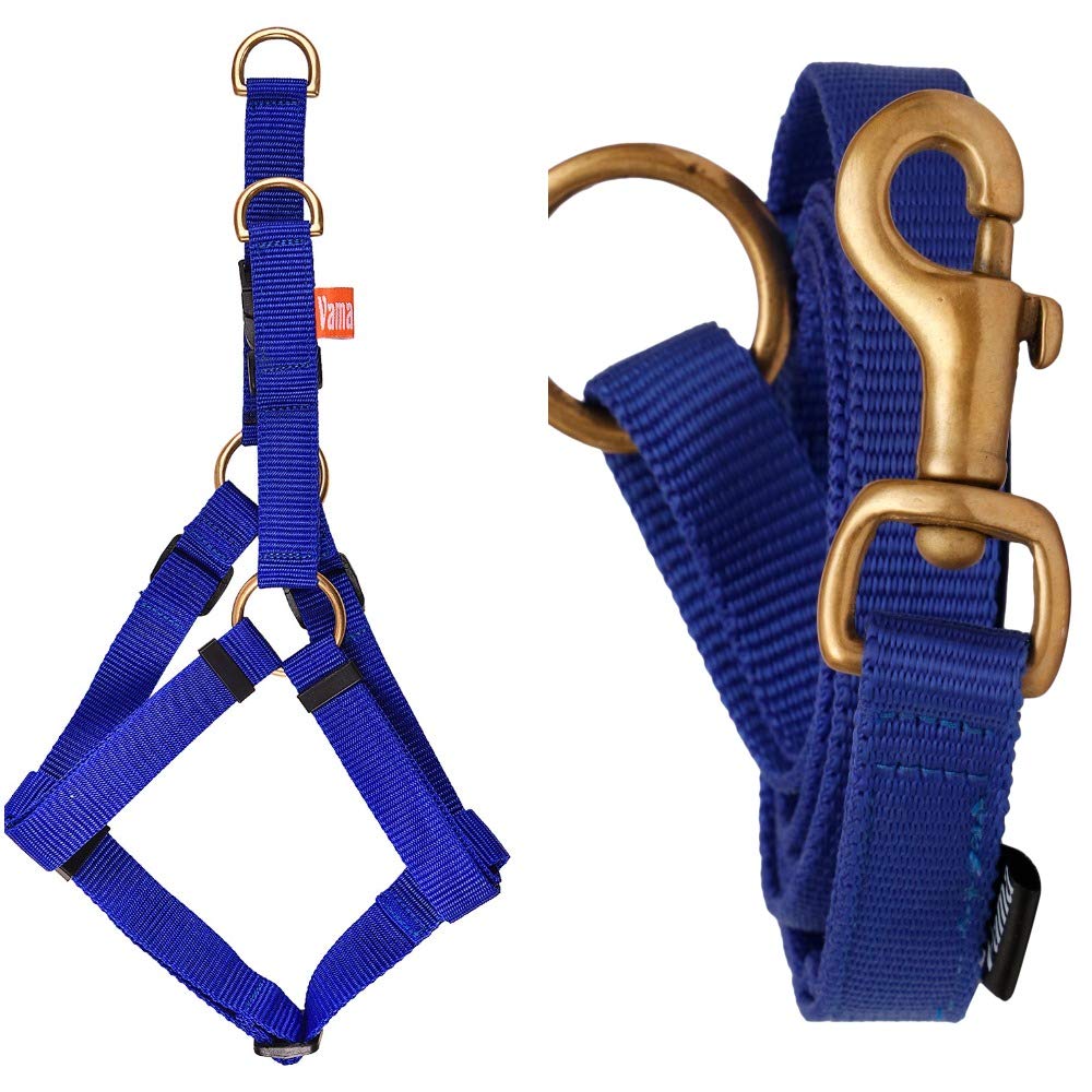 Vama Leathers Essential Leash and Body Harness Combo – Adjustable, Lightweight, Waterproof. Attractive Blue. for Giant and Large Breeds. (B08WMBVJ23) Amazon Price History, Amazon Price Tracker