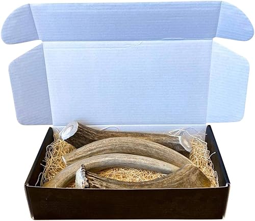 Miniatura 2 de The Antler Box Premium Deer Antler Dog Chews (1 lb Bulk Pack)  Mediano, grande y XL lleno de antídaces, larga duración, orgánico, juguetes de
