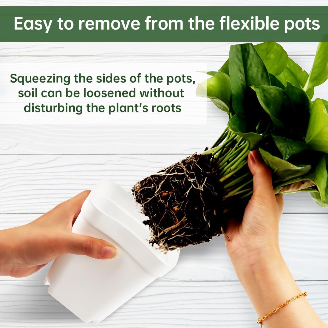 80 Pcs Nursery Pots 4 Inch, Plastic Seed Starting Pot with Drainage Holes, Small Sturdy Seedling pots for Planting, Succulents, Transplanting, Cuttings (White) - Image 2