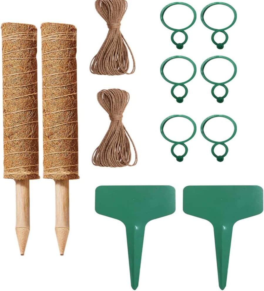 園芸支柱 30cm 2個 植物支柱 ヘゴ支柱 観葉支柱 ココナッツ支柱 植物サポート 環境保護 天然ココナッツ 給水 モンステラ つる性植物 観葉植物 水分 養分維持 2x園芸支柱 6xクリップ 2xロープ 2x植物ラベル 65 Off 送料無料