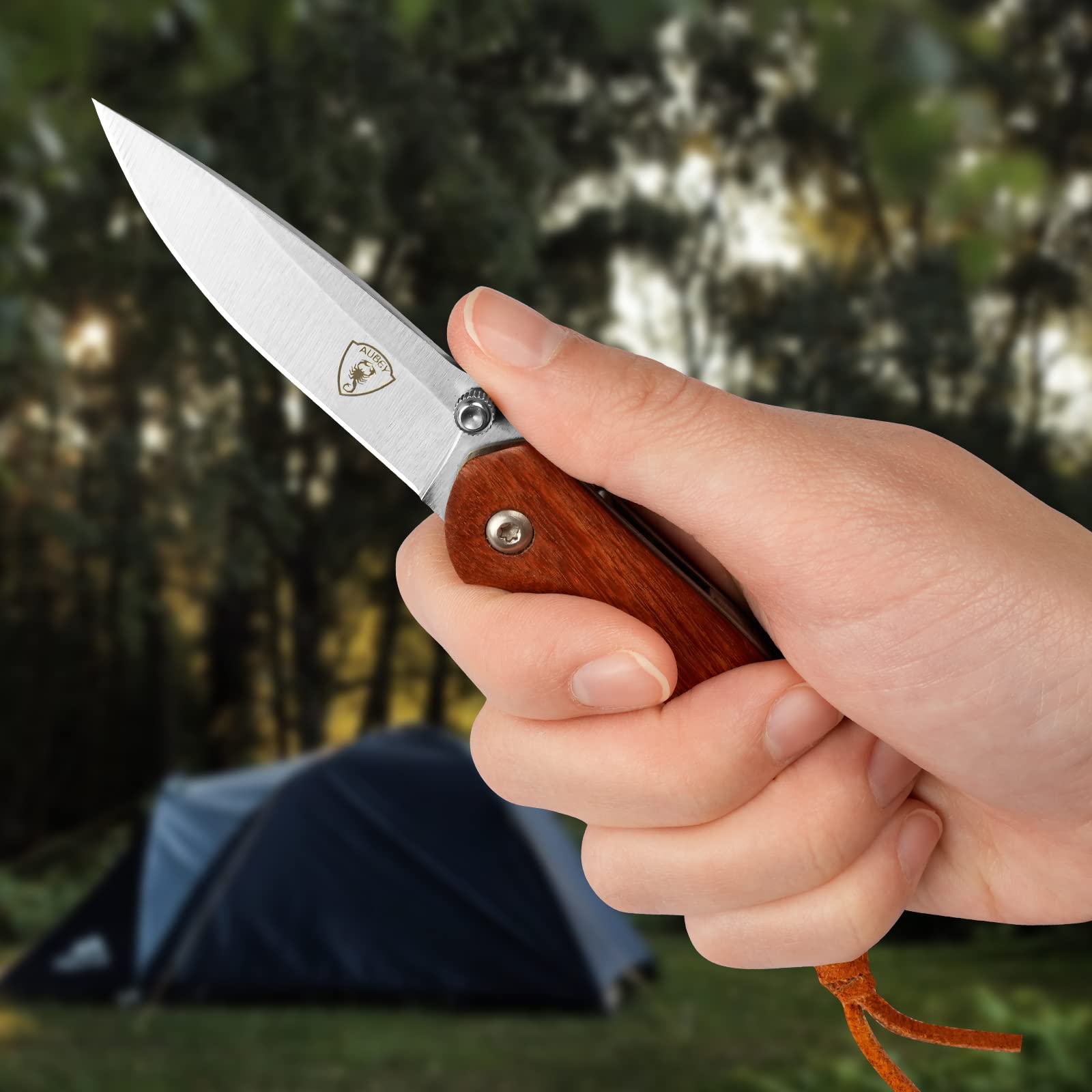 AUBEY Taschenmesser Klein, Scharfes Klappmesser Mini Messer mit 440 Stahl Klinge, Holzgriff, Liner Lock - EDC Messer Pocket Knife für Outdoor Survival Jagd Angeln Geschenk Sammeln