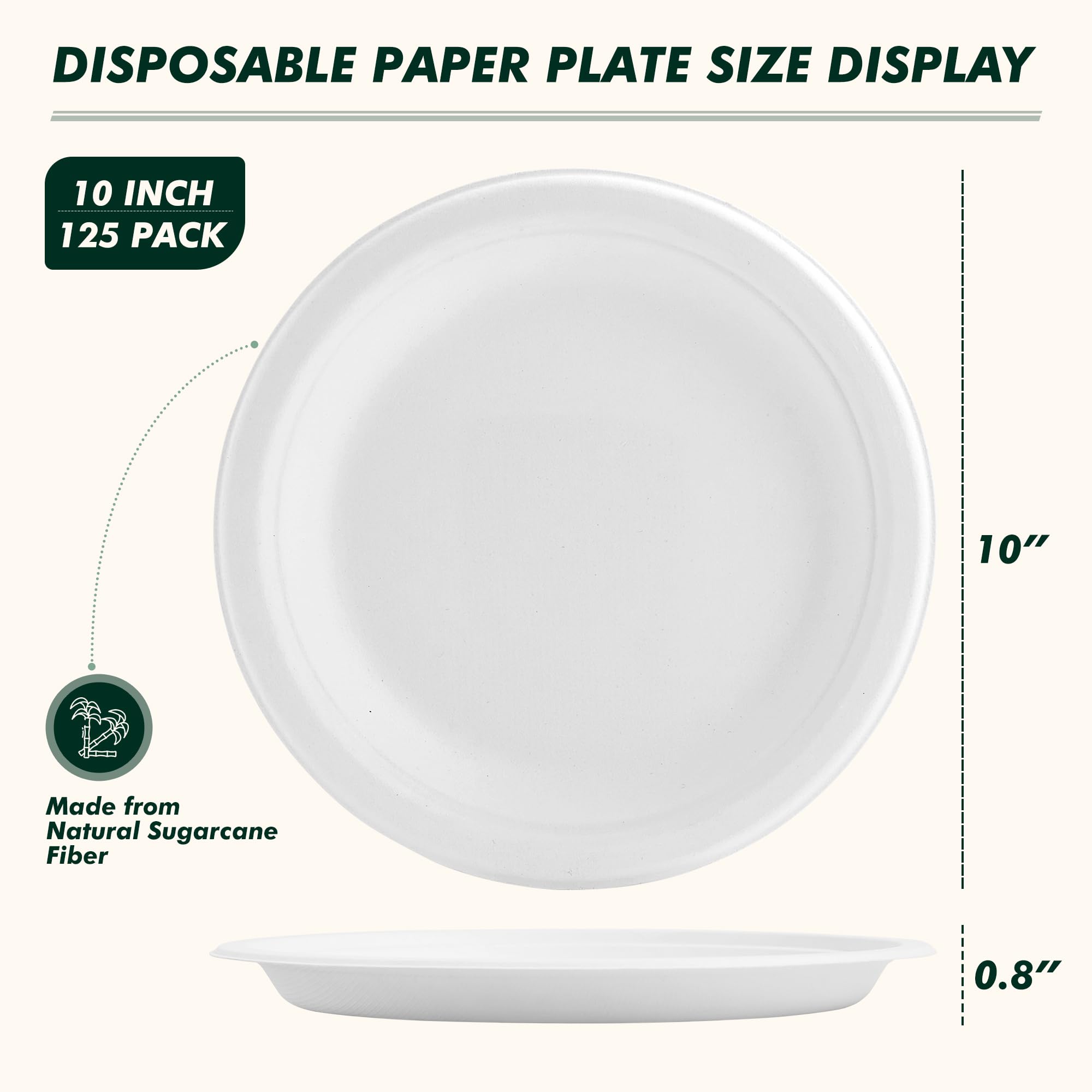 Compostable Paper Plates - 150 Pack (10 Inch) -9