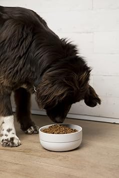 Waggo Ceramic Cling Dog Bowl with Rubber Bottom for Small and Large Breeds - Heavyweight Bowl with Anti-Skid Non Slip Rubber Bottom, Dishwasher Safe (Small, Light Grey)
