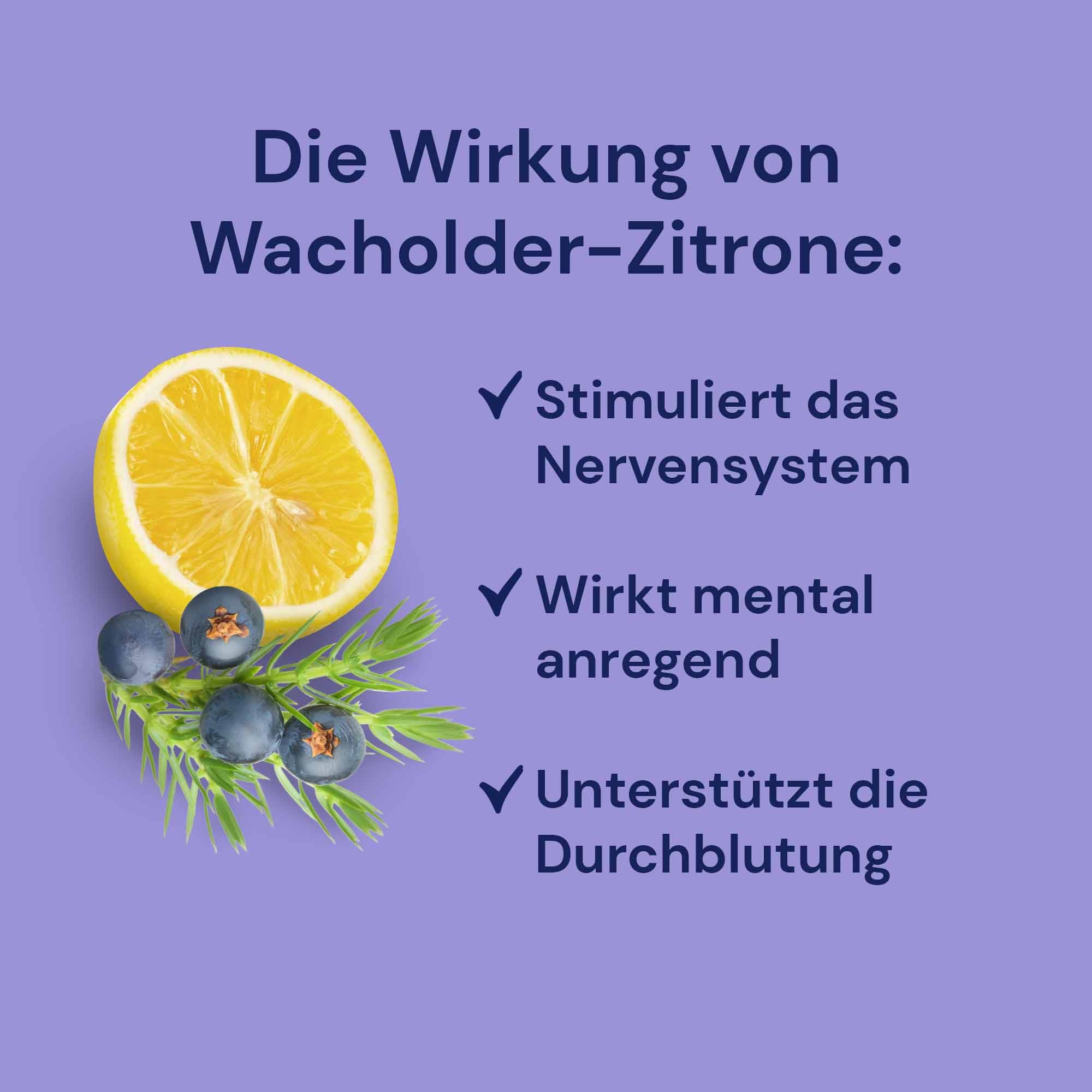 Spitzner Saunaaufguss - Wacholder-Zitrone 1L