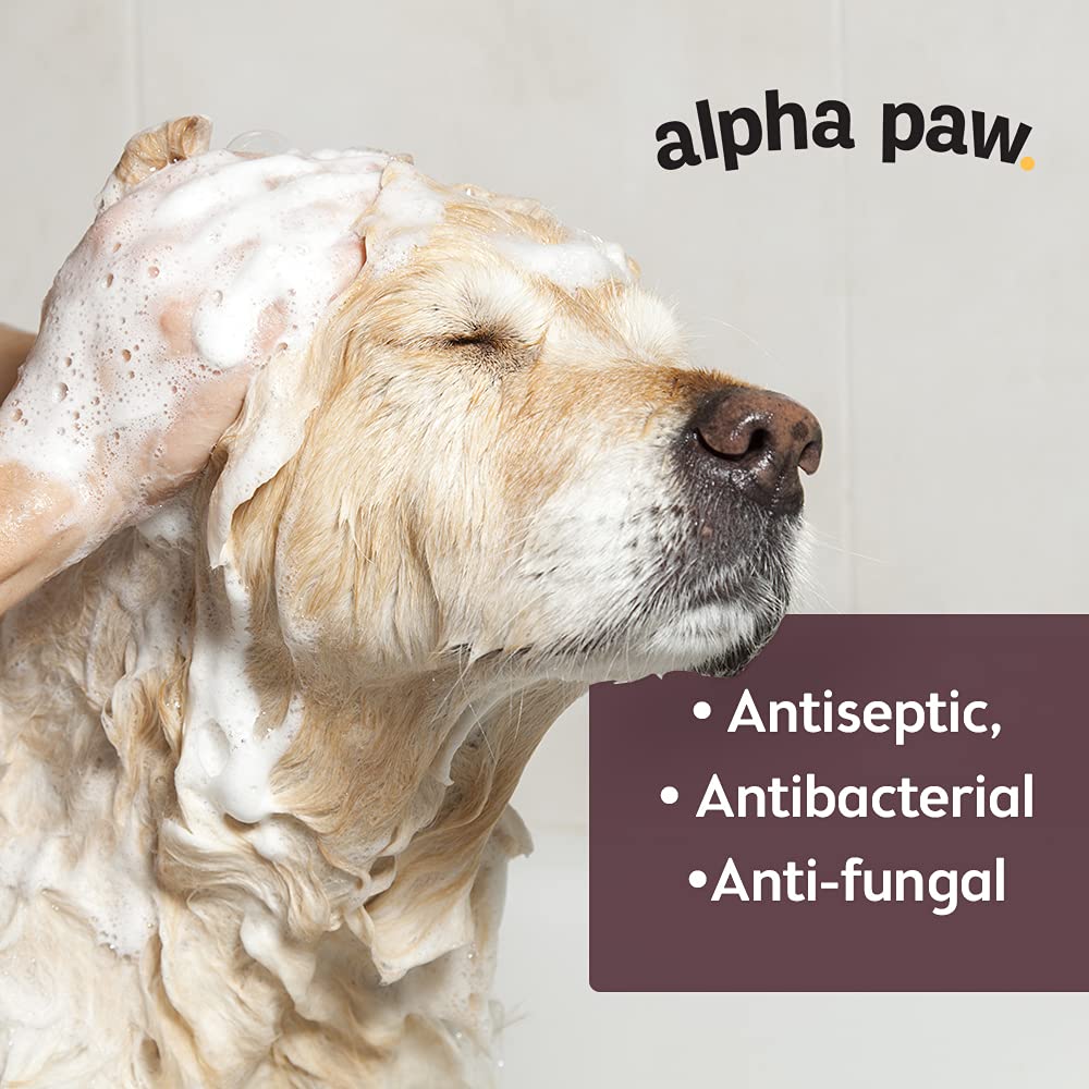 Best Antifungal Shampoo For Ringworm In Dogs at Frederick Kelley blog