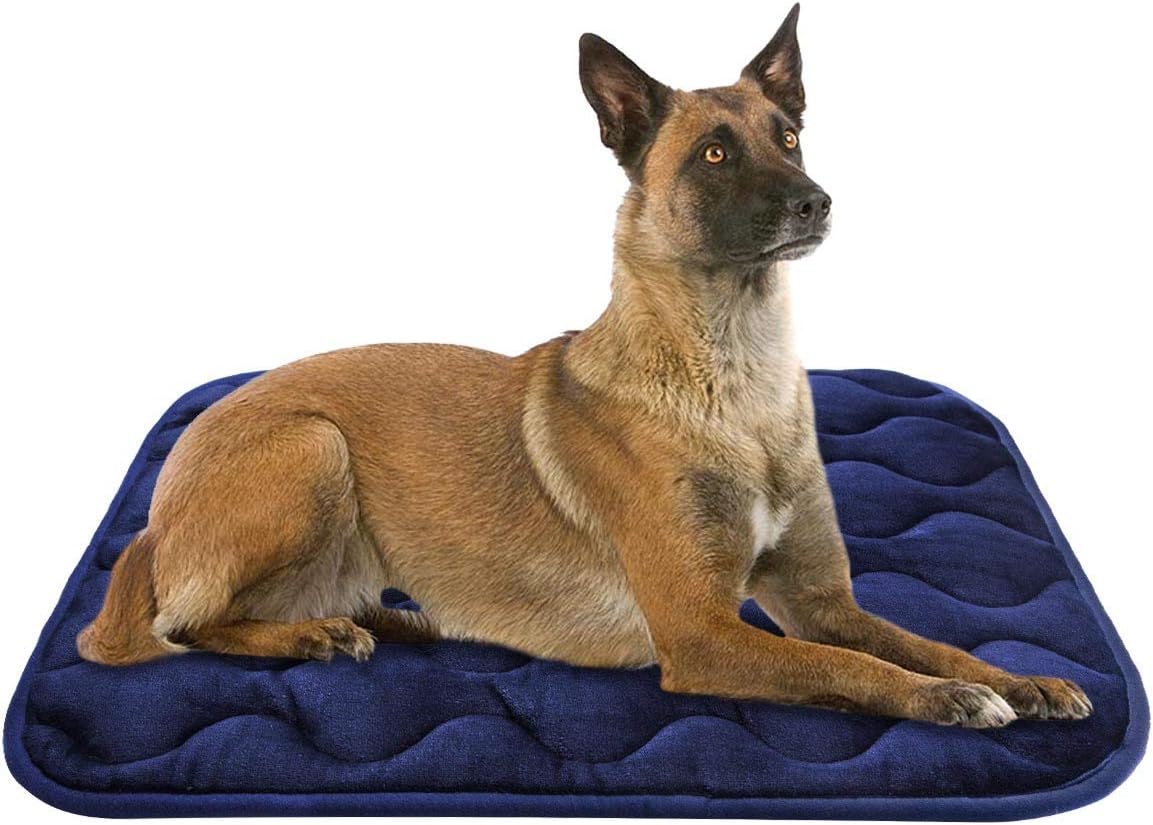 Dog Crate Pad Washable Dog Bed Mat Dog Mattress Pets Kennel Pad for Large Medium Small Dogs and Cats, 42" x 27", Blue
