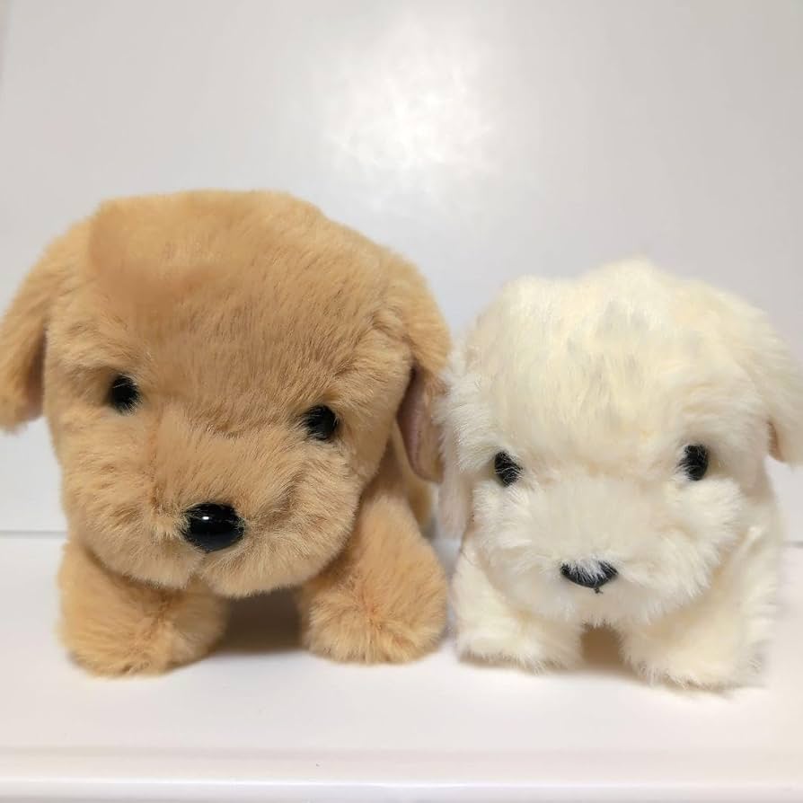 Amazon.co.jp: タグ付 ゴールデンレトリバー もみじのこども 犬