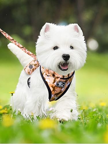 Miniatura 4 de Juego de arnés y correa para perros pequeños, ajustable, reflectante, sin tirones, chaleco para cachorro con collar de lazo, correa y bolsa para