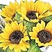 MARTINE MALL Artificial Sunflowers Pot, Silky Artificial Flower Daisy Metal Pot Bonsai, Artificial Flowers in Metal Potted, Silk Sunflower Bouquet with Vase for Garden Wedding Centerpieces Decor