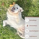 Zoys® Kaffeeholz Kokosseil M – Natürlicher Kauartikel & Zerrspielzeug für Hunde 15 kg – Koffeinfrei, splitterarm – Unterstützt Zahnreinigung – Robust nachhaltiges Hundespielzeug