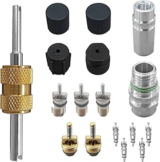 17PCS Car Air Conditioning Valve Core Kit, R12 R134a HVAC Valve Stem Cores with Removal Tool, Teflon Seal Service Port Caps for High Low Pressure Car AC System HVAC Refrigerant Tool (Black)