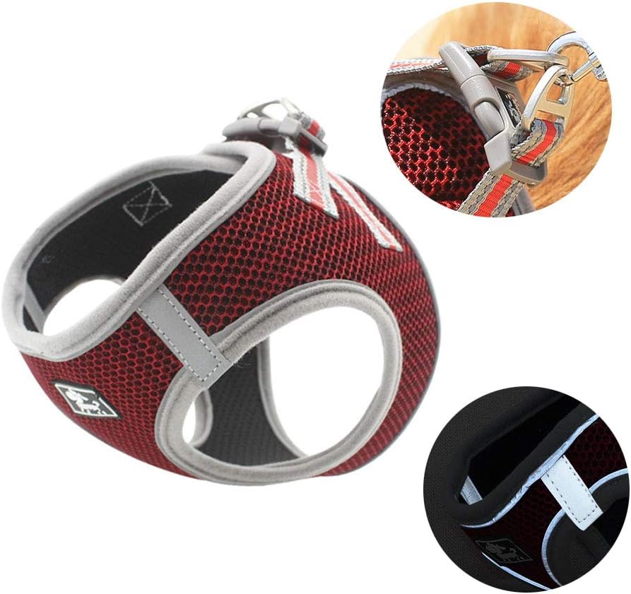 GHTMONY Dog Harness with Leash Set, Step-in Adjustable Anti-Slip Breathable Vest Harness with Leash Set for Small, Medium Dog Cat Outdoor Activity Accesories (S, Red)