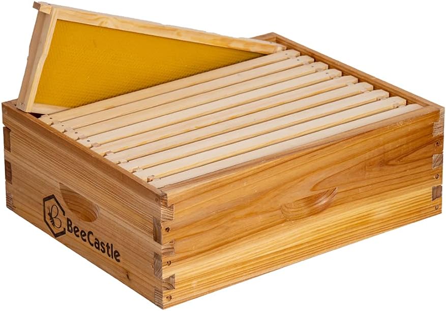BeeCastle 10 Frame Medium Super Bee Hive Box, Langstroth Honey Bee Hive Dipped in 100% Beeswax Include Beehive Frames and Wax Foundations (Unassembled) 10-Frame