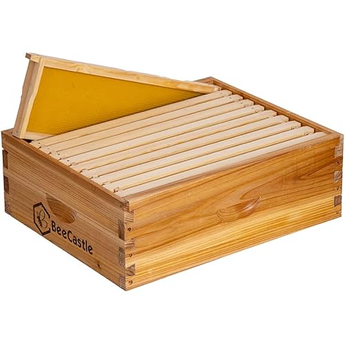BeeCastle 10 Frame Medium Super Bee Hive Box, Langstroth Honey Bee Hive Dipped in 100% Beeswax Include Beehive Frames and Wax Foundations (Unassembled)