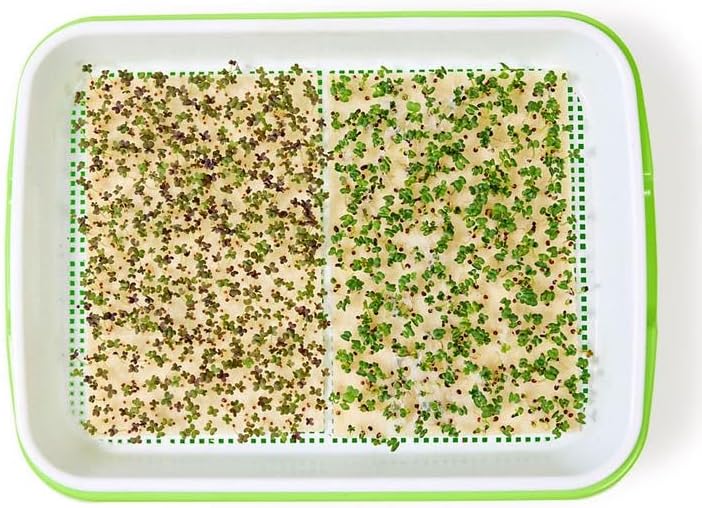 Park Seed Easy DIY Planting Sow Effortless Collection Seed Mats, Microgreens Kit