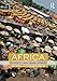 Africa: Diversity and Development (Routledge Perspectives on Development)