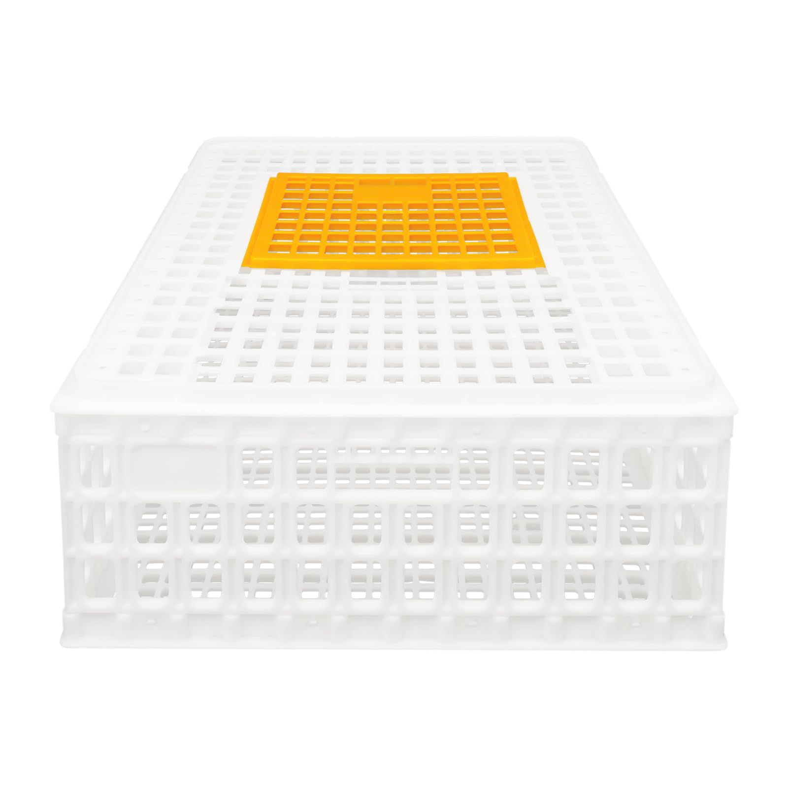 WooDerson Lot de 4 cages de transport en plastique pour poules, oiseaux, canards (blanc)