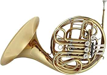 フレンチホルン楽器 フレンチホルン楽器 真鍮素材 単列 61dSju8l-eL._AC_UF350,