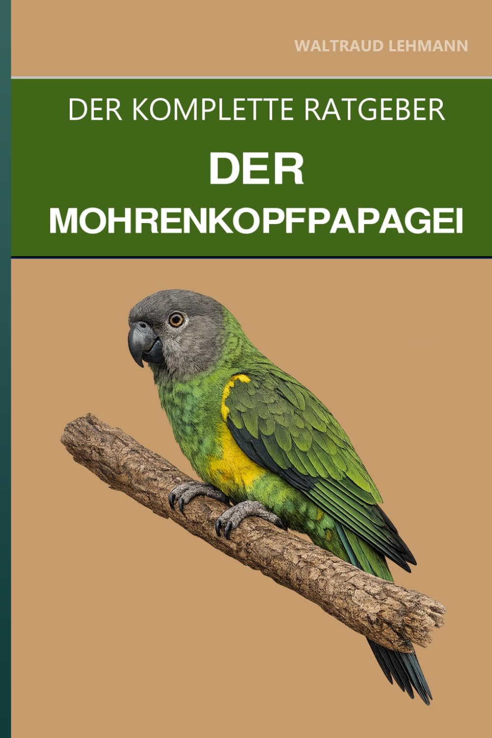 Der Mohrenkopfpapagei: Ein kompletter Leitfaden für Pflege, Ein-Personen-Treue und Beißvorbeugung