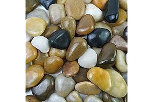 5lb Vibrant River Rocks: A Dash of Nature's Charm for Your Spaces