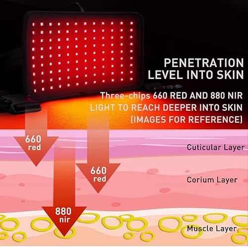 Miniatura 3 de DGXINJUN Dispositivos de terapia de luz infrarroja cercana roja 660nm y 880nm Led Wrap Back Pain Relief para el cuerpo con modo de pulso Almohadilla