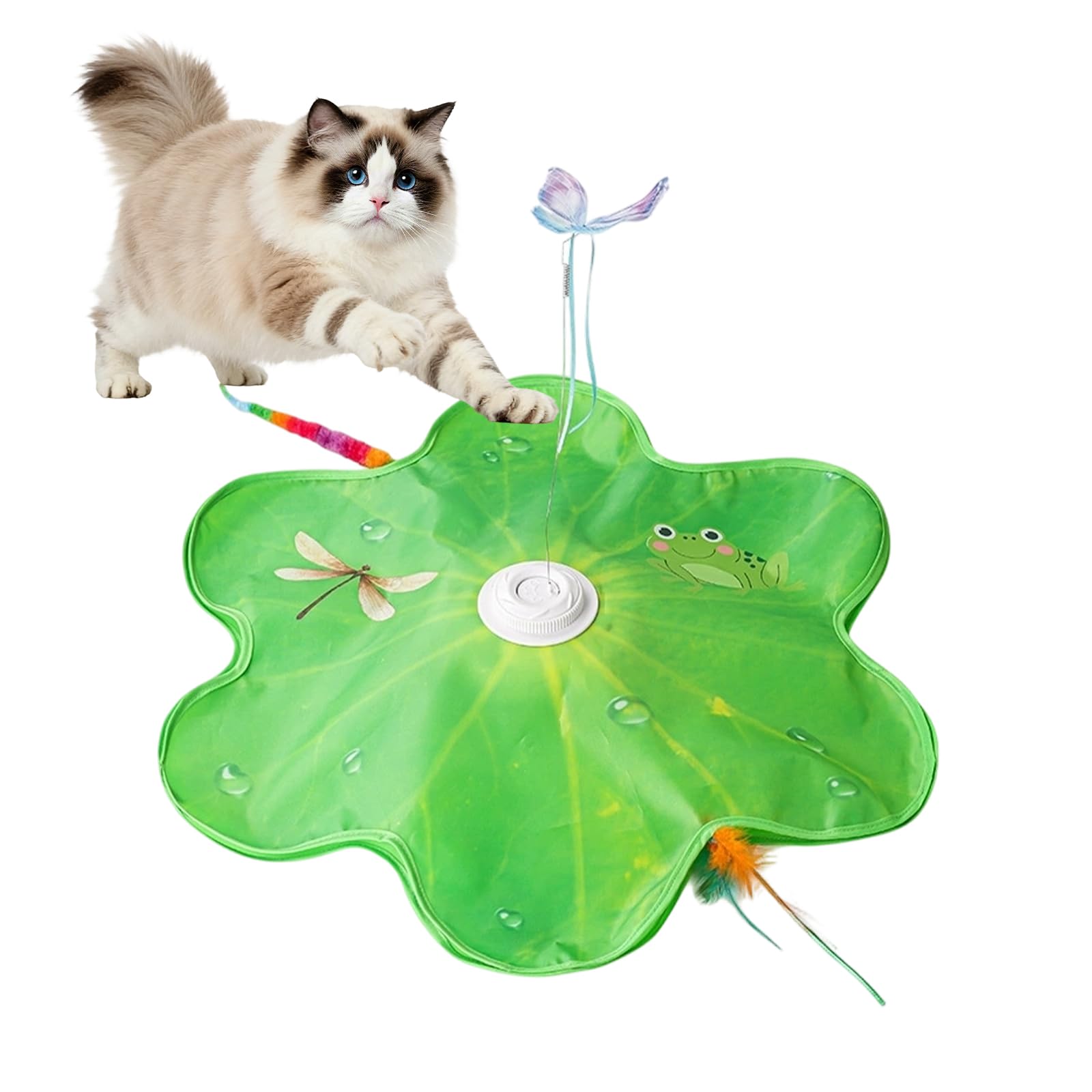 TWSOUL Giocattolo elettrico per gatti da interni, gioco interattivo con molla automatica, suoni degli uccelli e ricarica USB, giocattolo per gatti e gattini, verde