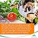 Vitaminas Complejo B - Vit B1 B2 B3 B5 B6 B12 -...