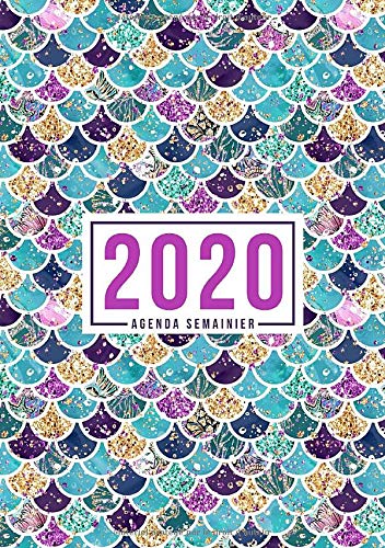 Télécharger Agenda semainier 2020: Du 1er janvier 2020 au 31 décembre 2020 : aperçu hebdomadaire et mensuel, j PDF