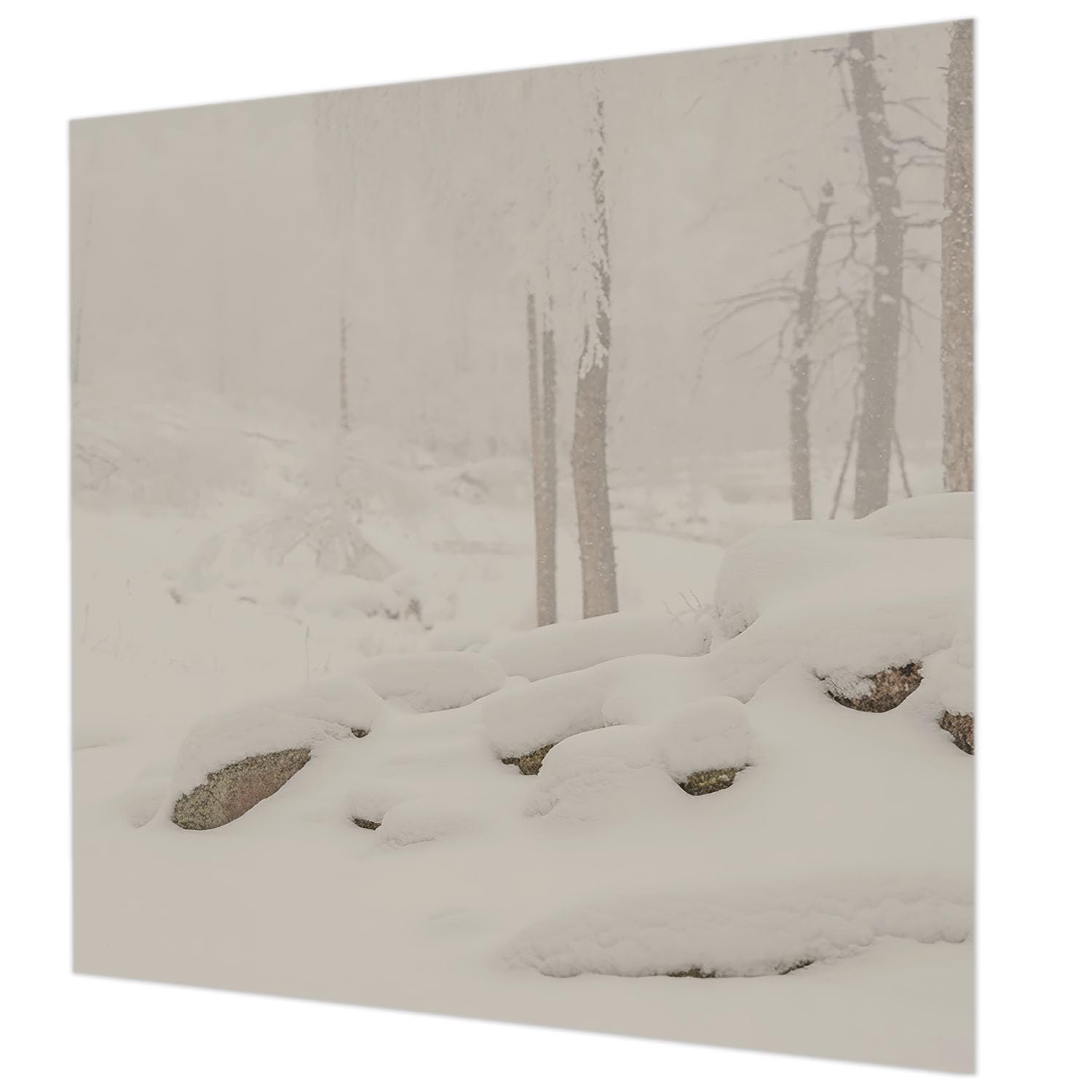 Papier peint lavable Tulup 250x250 cm pour habiller vos murs avec un paysage de forêt enneigée